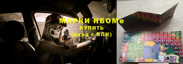 гидра Богородск