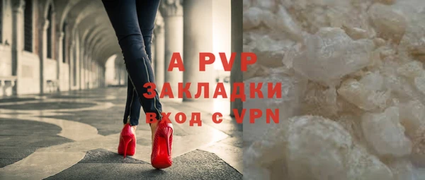 прущие грибы Богданович