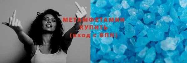 прущие грибы Богданович