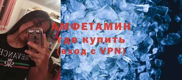 гидра Богородск