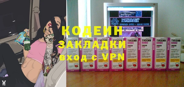 гидра Богородск