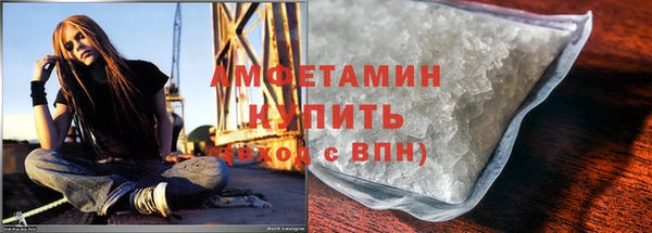 прущие грибы Богданович