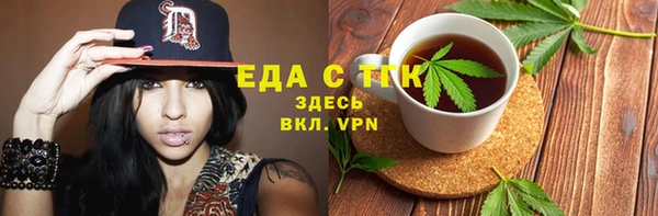 гидра Богородск